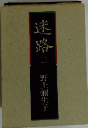迷路 2