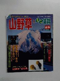 山野草　2001年1月号