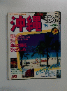 沖縄るるぶ　1995　