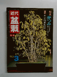盆栽 1983年３号