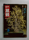 盆栽 1983年３号