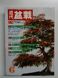 盆栽　1987年6月号