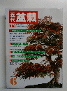 盆栽　1987年6月号