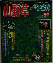 山野草と三二盆栽　　2001年　Vol.25