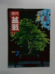 盆栽　1983年7月号　