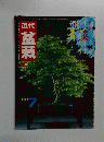 盆栽　1983年7月号　