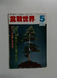 盆栽世界 1981.5