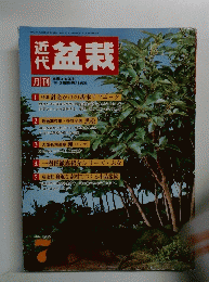 盆栽　１９８７年７月号