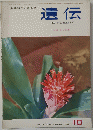 遺伝　1963年10月号　Vol.17　No.10
