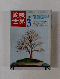 盆栽世界　1980年3月号　