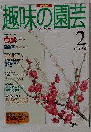 趣味の園芸　1997年2月号
