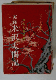 天録米沢太閤記