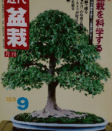 近代盆栽　１９８３年９月号