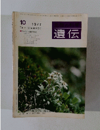 生物の科学 遺伝　THE HEREDITY　1977年10月号　Vol.31 No. 10