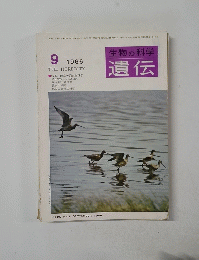 生物の科学遺伝　１９６６年９月号　