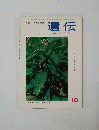 遺伝　１９６４年１０月号　Vol.18　No.10