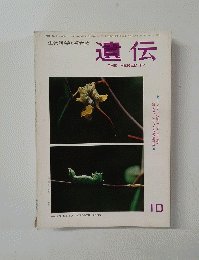 遺伝　１９６５年１０月号　Vol.19　No.10