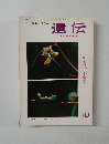遺伝　１９６５年１０月号　Vol.19　No.10