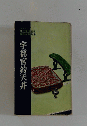 宇都宮鈎天井