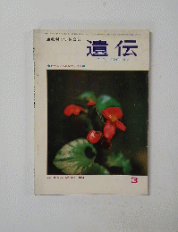 遺伝　3