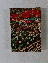 趣味の山野草 1987年2月号　No.79