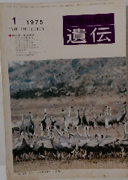 生物の科学遺伝 1975年1月号