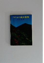 アポイ岳の高山植物