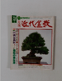 近代盆栽　1980年3月号　