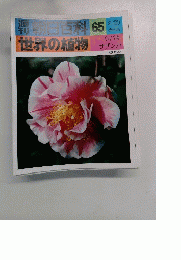 朝日百科　65　2/20　世界の植物　ツバキ　サザンカ
