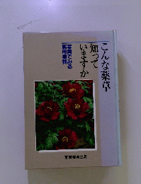 こんな薬草知っていますか