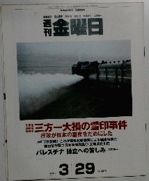 週刊金曜日　No.405　2002年3月29日号