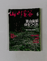 山と渓谷　１９９９年6月号