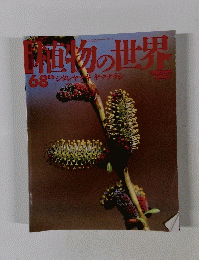 直物の世界68 8/6 シダレヤナギヤマナラシ