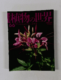 朝日百科　植物の世界　６６
