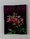 朝日百科　植物の世界　６６
