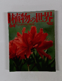 朝日百科　植物の世界　６４