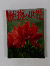 朝日百科　植物の世界　６４