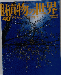 朝日百科　植物の世界　４０