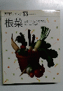 素材クッキング 13　根菜