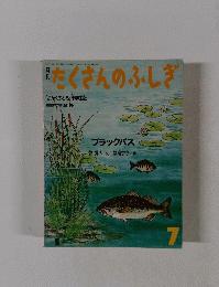 月刊たくさんのふしぎ　1986年7月号