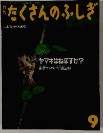 月刊たくさんのふしぎ　1992年9月号
