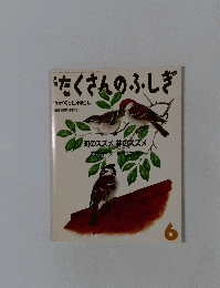月刊たくさんのふしぎ　1986年6月号
