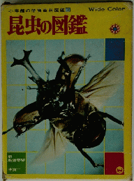 昆虫の図鑑
