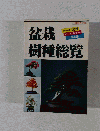 盆栽　樹種総覧　