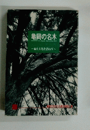 HISTORICAL TREES of KAMEOKA　亀岡の名木　