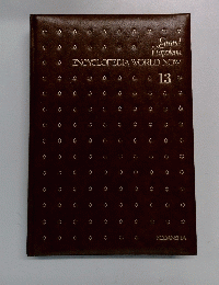ENCYCLOPEDIA　WORLD　NOW　13
