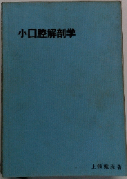 小口腔解剖学
