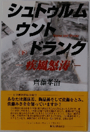 シュトゥルム・ウント ドランク 下　