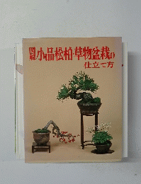 隠小品松柏草物盆栽の仕立て方
