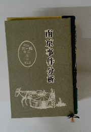 南京事件分析